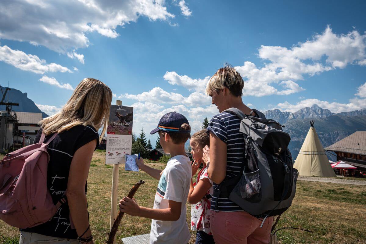 Familie löst Steinadler Quiz in den Bergen von der Brig Simplon Region